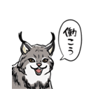 しゃべるヤマネコ（個別スタンプ：20）