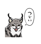 しゃべるヤマネコ（個別スタンプ：22）
