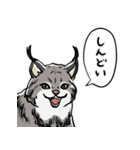 しゃべるヤマネコ（個別スタンプ：23）