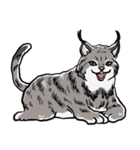 しゃべるヤマネコ（個別スタンプ：27）