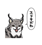 しゃべるヤマネコ（個別スタンプ：28）