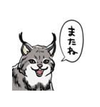 しゃべるヤマネコ（個別スタンプ：32）