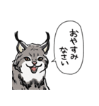 しゃべるヤマネコ（個別スタンプ：35）