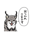 しゃべるヤマネコ（個別スタンプ：36）