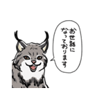 しゃべるヤマネコ（個別スタンプ：37）