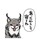 しゃべるヤマネコ（個別スタンプ：38）