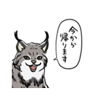 しゃべるヤマネコ（個別スタンプ：39）