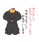 やさしいトイプー『年末年始2026』2（個別スタンプ：1）