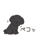 やさしいトイプー『年末年始2026』2（個別スタンプ：6）