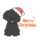 やさしいトイプー『年末年始2026』2（個別スタンプ：7）