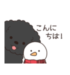 やさしいトイプー『年末年始2026』2（個別スタンプ：10）