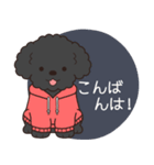 やさしいトイプー『年末年始2026』2（個別スタンプ：11）