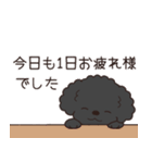 やさしいトイプー『年末年始2026』2（個別スタンプ：12）