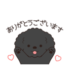 やさしいトイプー『年末年始2026』2（個別スタンプ：14）