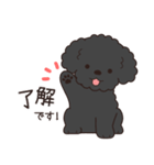 やさしいトイプー『年末年始2026』2（個別スタンプ：17）