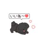 やさしいトイプー『年末年始2026』2（個別スタンプ：19）