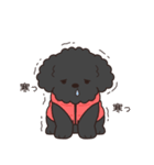 やさしいトイプー『年末年始2026』2（個別スタンプ：21）