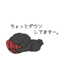 やさしいトイプー『年末年始2026』2（個別スタンプ：23）