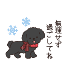 やさしいトイプー『年末年始2026』2（個別スタンプ：24）