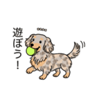 名前入りダックスイザベラダップルイエロー（個別スタンプ：1）