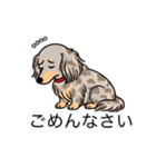 名前入りダックスイザベラダップルイエロー（個別スタンプ：2）