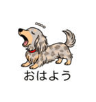 名前入りダックスイザベラダップルイエロー（個別スタンプ：3）