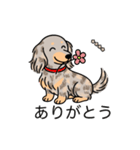 名前入りダックスイザベラダップルイエロー（個別スタンプ：5）