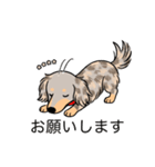 名前入りダックスイザベラダップルイエロー（個別スタンプ：7）