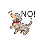 名前入りダックスイザベラダップルイエロー（個別スタンプ：8）