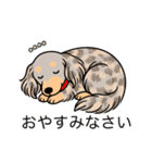 名前入りダックスイザベラダップルイエロー（個別スタンプ：9）