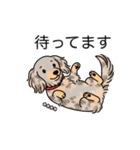 名前入りダックスイザベラダップルイエロー（個別スタンプ：10）