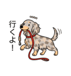 名前入りダックスイザベラダップルイエロー（個別スタンプ：11）