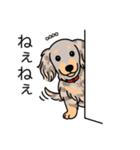 名前入りダックスイザベラダップルイエロー（個別スタンプ：12）