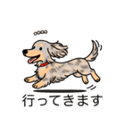 名前入りダックスイザベラダップルイエロー（個別スタンプ：13）