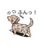 名前入りダックスイザベラダップルイエロー（個別スタンプ：14）