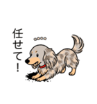 名前入りダックスイザベラダップルイエロー（個別スタンプ：15）