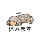 名前入りダックスイザベラダップルイエロー（個別スタンプ：16）