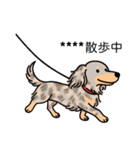 名前入りダックスイザベラダップルイエロー（個別スタンプ：17）