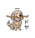 名前入りダックスイザベラダップルイエロー（個別スタンプ：21）