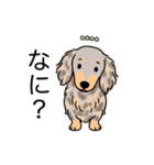 名前入りダックスイザベラダップルイエロー（個別スタンプ：22）