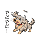 名前入りダックスイザベラダップルイエロー（個別スタンプ：23）