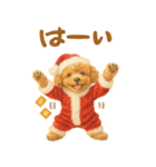 冬のBIGトイプードル♡優しい水彩画（個別スタンプ：25）