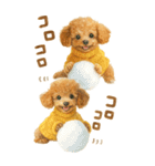 冬のBIGトイプードル♡優しい水彩画（個別スタンプ：27）