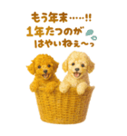 冬のBIGトイプードル♡優しい水彩画（個別スタンプ：29）