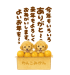 冬のBIGトイプードル♡優しい水彩画（個別スタンプ：30）