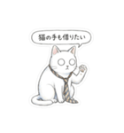 会社で使える虚無ねこ[仕事・敬語・真顔]（個別スタンプ：37）