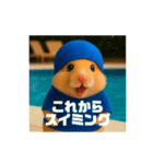 ハムさん水泳はじめました（個別スタンプ：1）