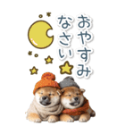 毎日使えるBIG柴犬【連絡・でか文字】（個別スタンプ：4）