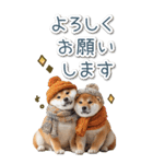 毎日使えるBIG柴犬【連絡・でか文字】（個別スタンプ：6）