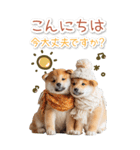 毎日使えるBIG柴犬【連絡・でか文字】（個別スタンプ：8）